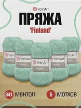 Пряжа YarnArt 'Finland' 100гр 200м (100% акрил) (841 ментол)