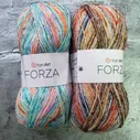 Пряжа носочная Forza YarnArt ( Форза ), цвет 2602-2610, 100 гр/420м, 75% шерсть, 25% полиамид, 2 мотка.