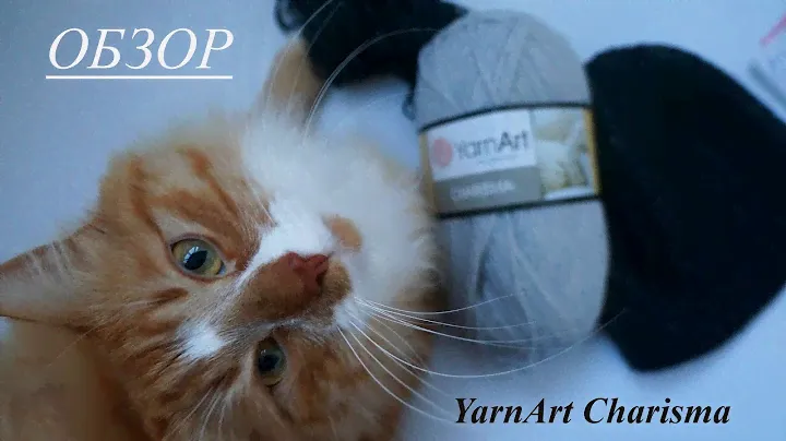 Обзор YarnArt Charisma \\ сравниваю несравнимое \\ Drops Big Merino в изделии