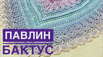 Часть 1.Вяжем мой авторский бактус «Павлин»