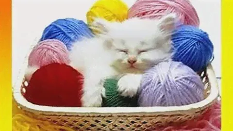 Ангора #Yarn Art и #ANGORA RAM Обзор что связала, что буду вязать