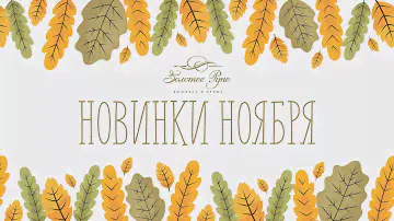 Новинки ноября 2024