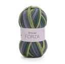 YarnArt Forza 2505