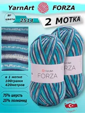 Пряжа носочная YarnArt "Forza" (ЯрнАрт Форза 75% шерсть 25% полиамид) 2 мотка цвет 2514 секционный